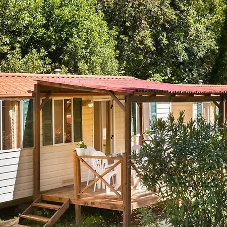 Mobile Homes Camping Resort Medveja 3* Medveja